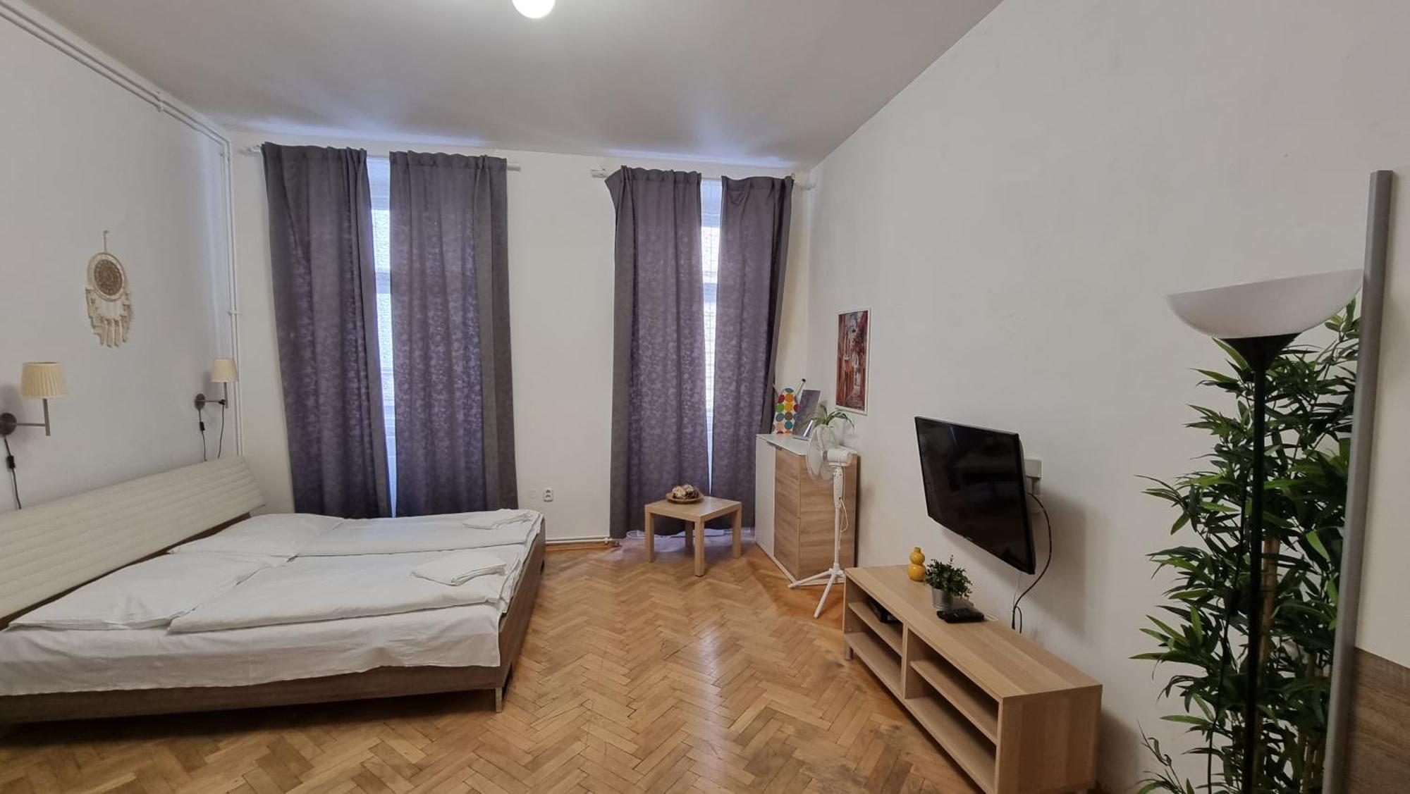 Krakovska 20 Apartment
